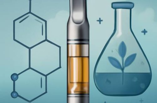 Beyond the Molecule: The Alchemy of Deadhead Chemist DMT (Cartridge) 1mL